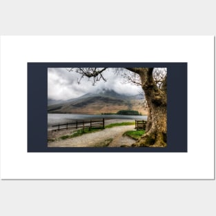 Brothers Water Oak Tree, Cumbrian Lake District Posters and Art